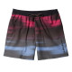 Quiksilver Ανδρικό μαγιό Everyday Fade Volley 17" - Swim Shorts for Men